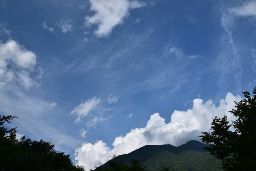 晴れ渡る秋天