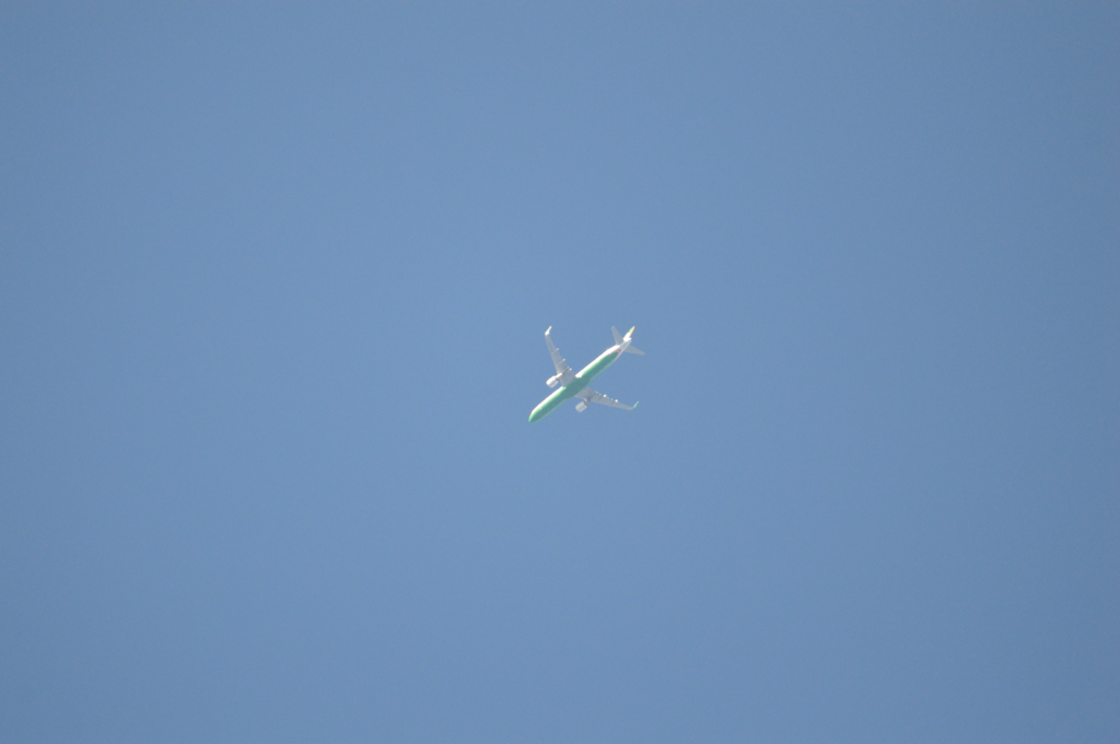 緑のお腹のEVA AIRのAirbus A330-200？