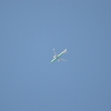 緑のお腹のEVA AIRのAirbus A330-200？