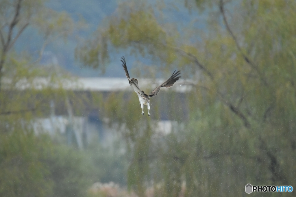 逃げられちゃったよ～