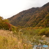 紅葉始まってきました♪ ②