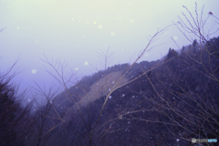 雪降るホームコースから