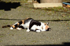 どうした！？