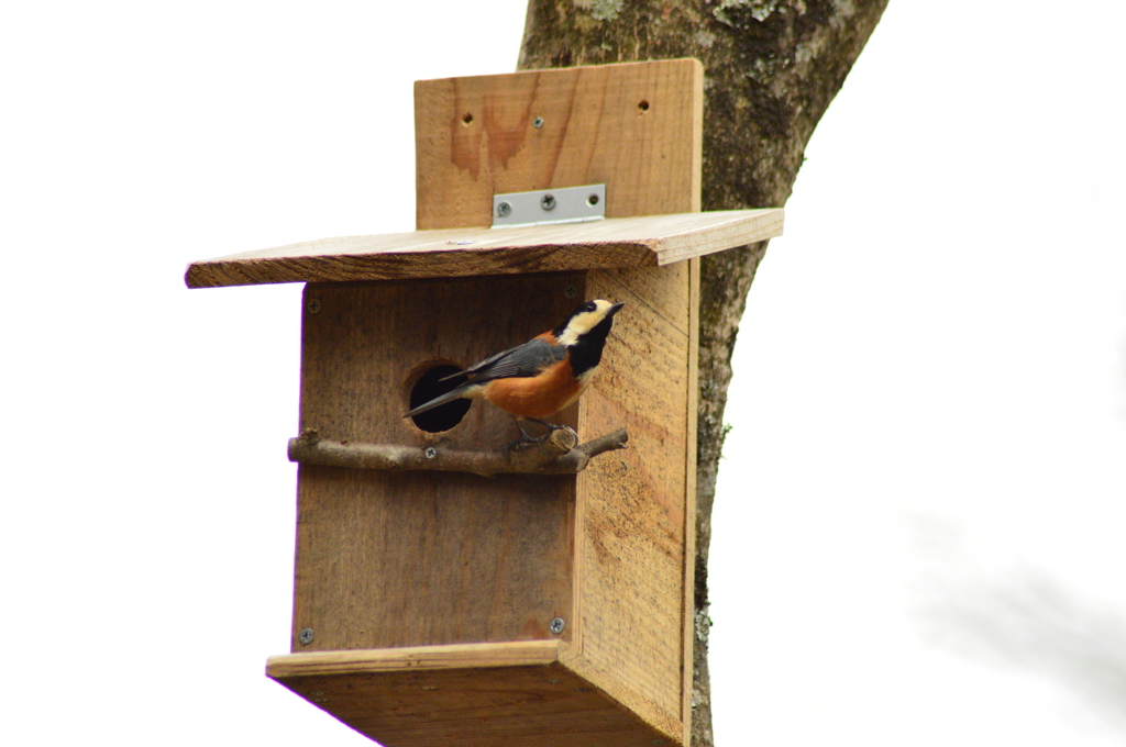 ここ…使っていいかな？