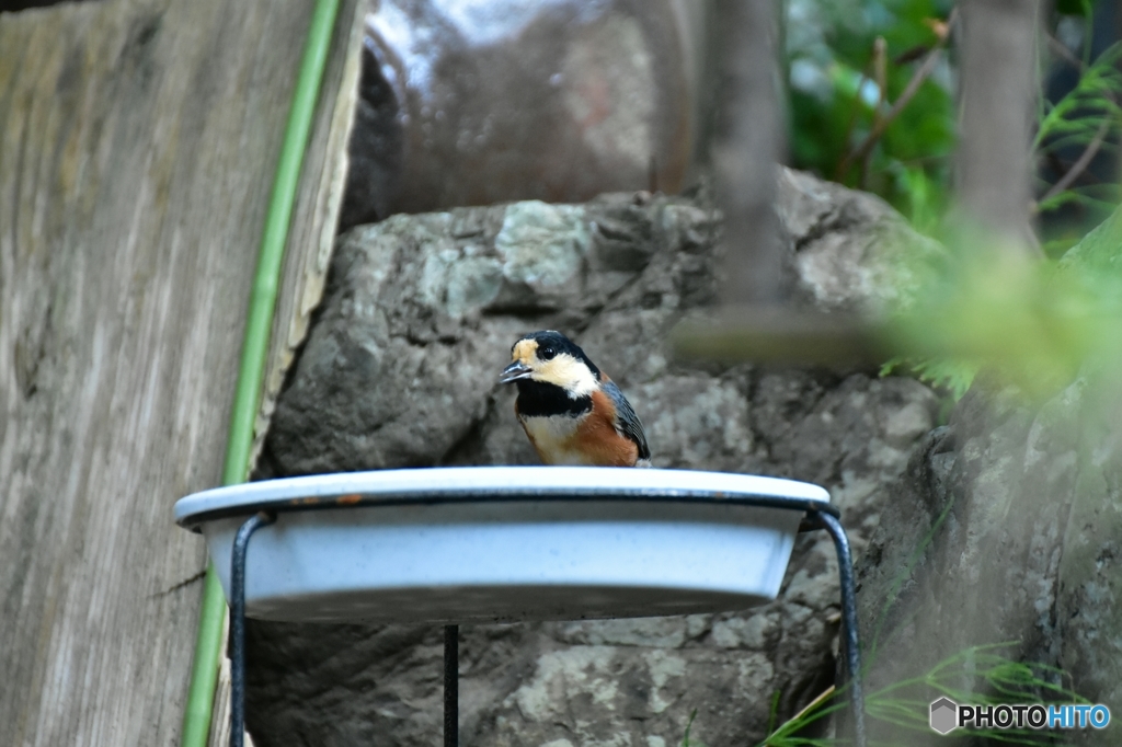 水受けの前に！