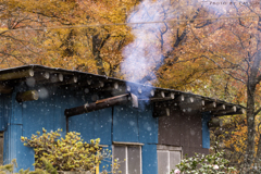 雪と紅葉