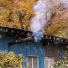 雪と紅葉