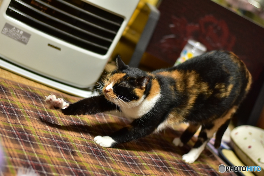 二ィィ〜〜