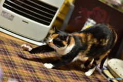 二ィィ〜〜