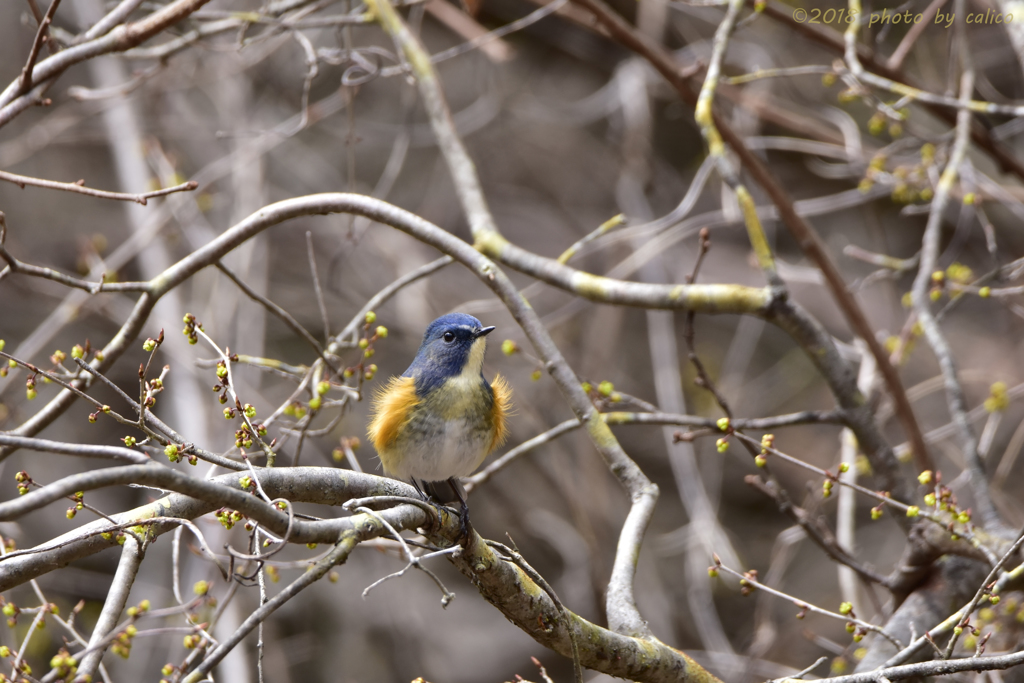 また会う日まで Ⅲ