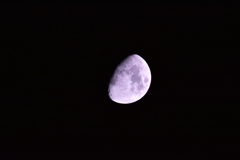 月夜の晩に･･･