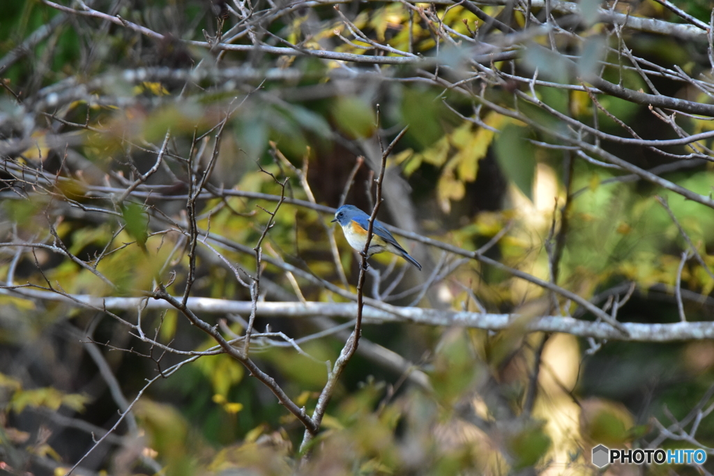 到着しました ①