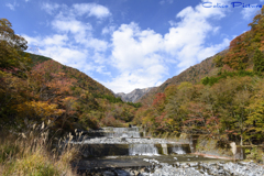 源流の紅葉 Ⅱ