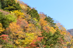 八紘嶺麓