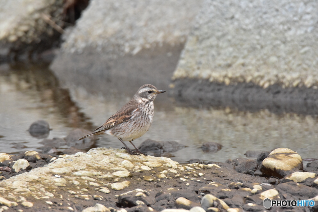 不思議な色合い