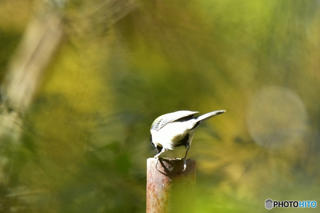 気になるんだな～