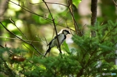 僕も食べたい・・・ 僕も食べたい・・・