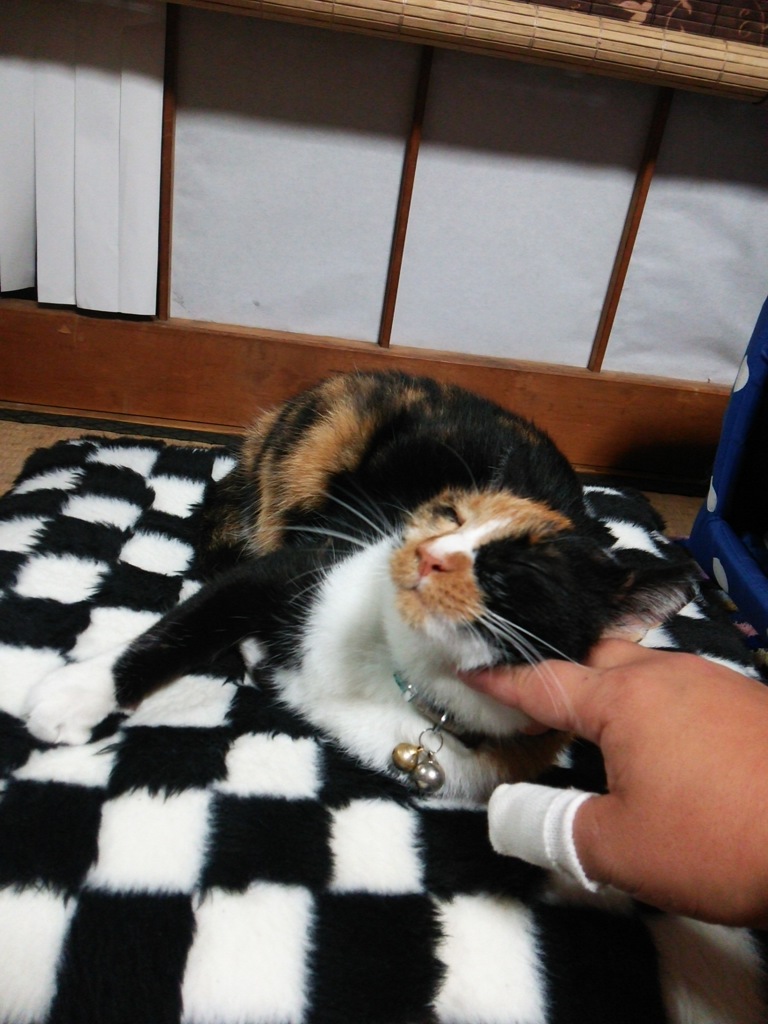 気持ちええな～