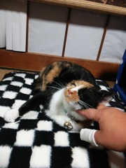 気持ちええな～
