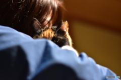 思惑通りニャ