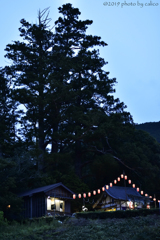 祭りの夜