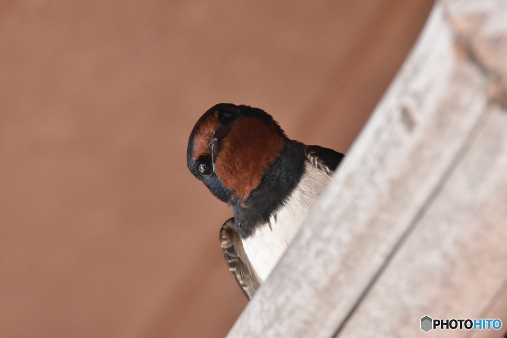 やっぱりここが良いかな