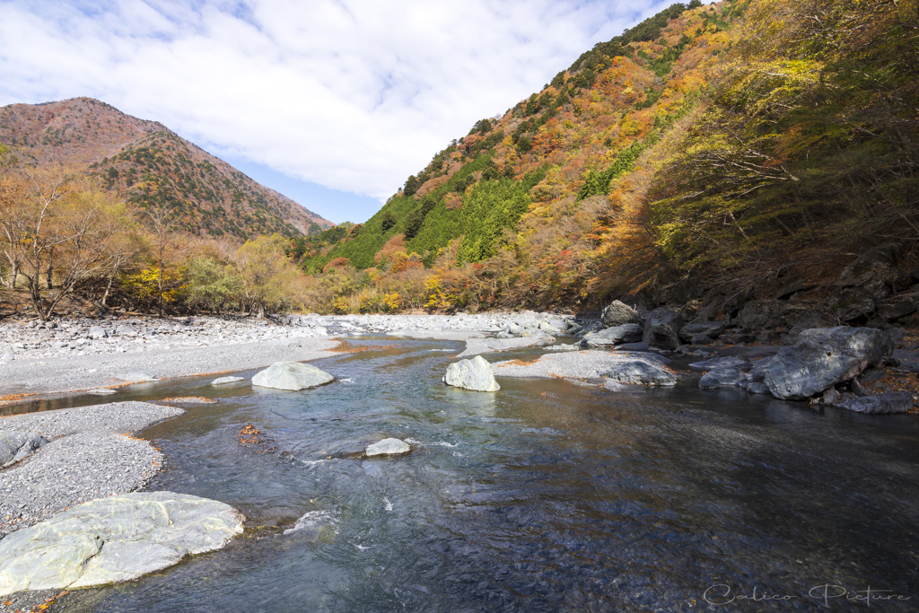 大井川本流