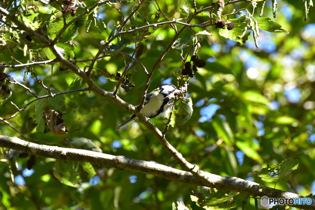 足だって使うよ♪