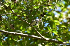 足だって使うよ♪ 足だって使うよ♪