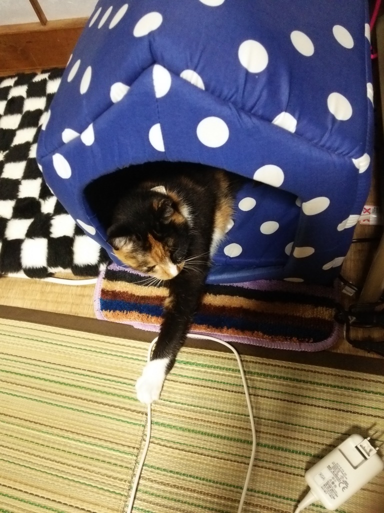寝相悪いね･･･(^_^;