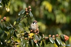 西陽が眩しいなぁ･･･