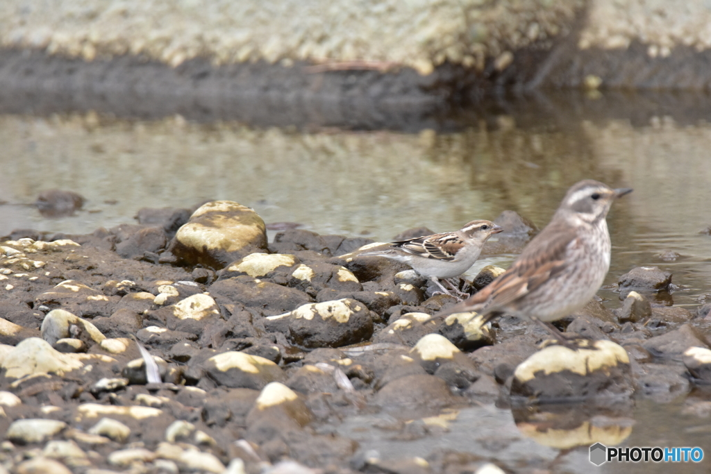 みんなのオアシス