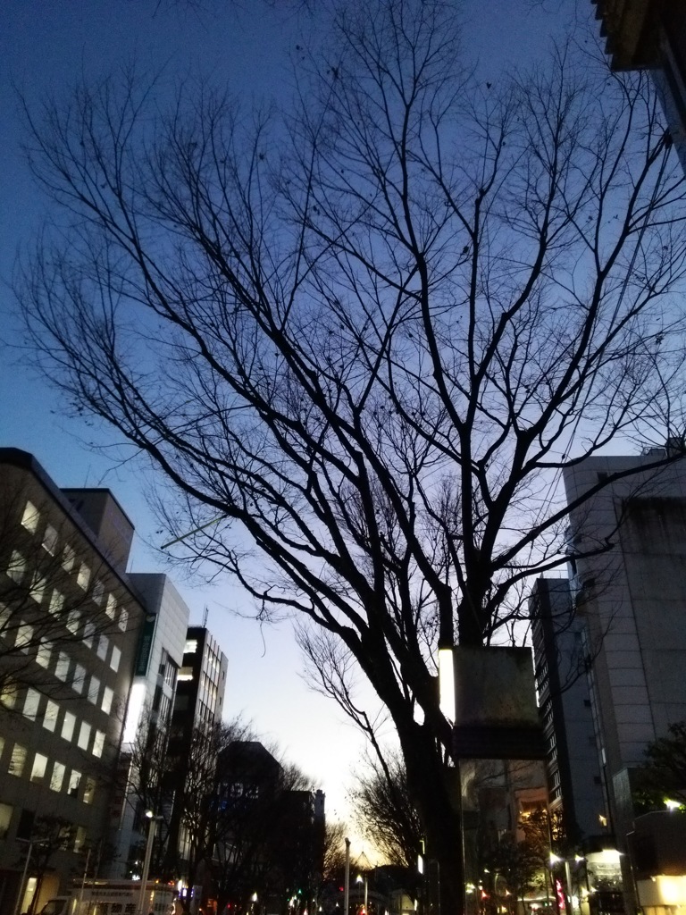 静岡街中にて