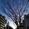 静岡街中にて