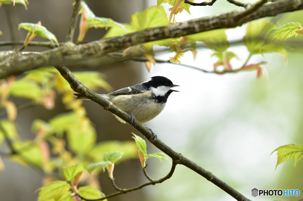 とっておきの場所で