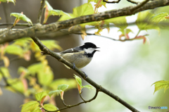 とっておきの場所で