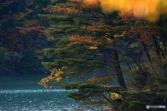 湖畔の秋