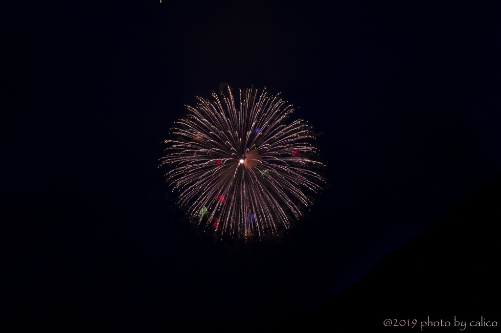 夏の華 