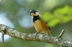 やっぱり君から♪