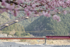 桜とアーチ橋