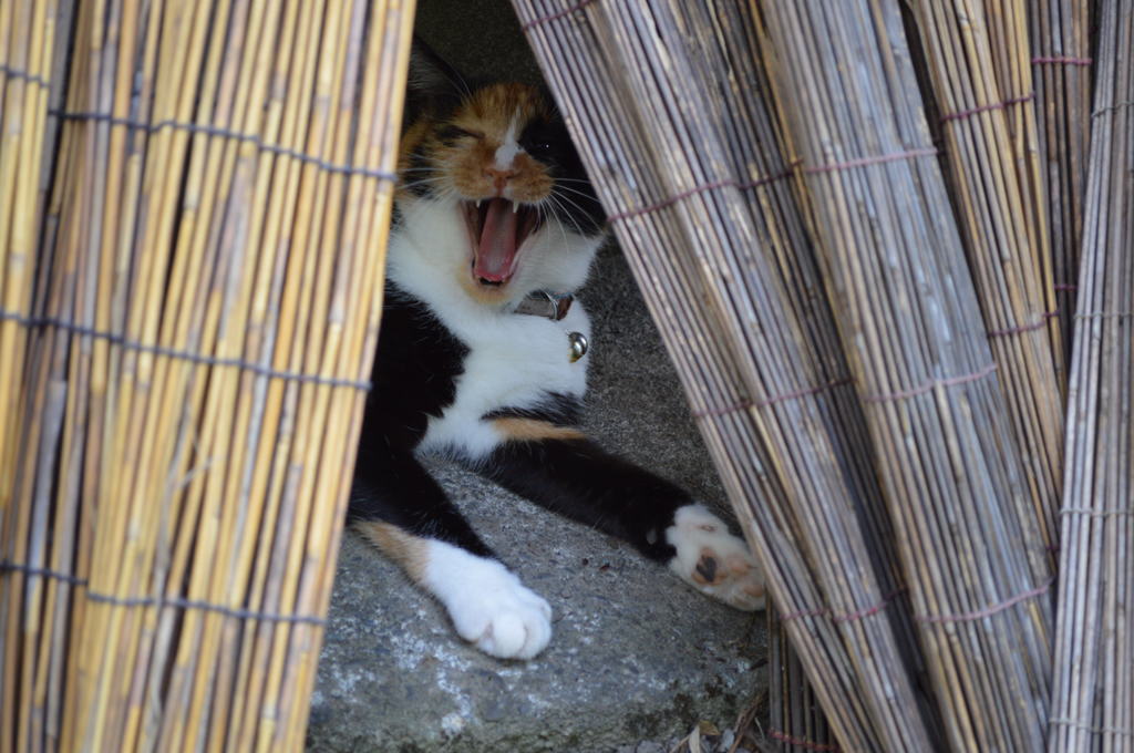 ふぁ～