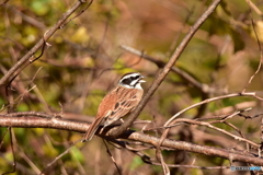 背中暖かいよ〜 背中暖かいよ〜