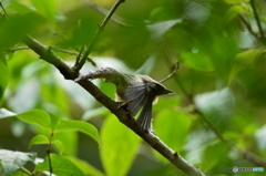 不思議なポーズ
