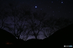 シリウスの輝く睦月の夜