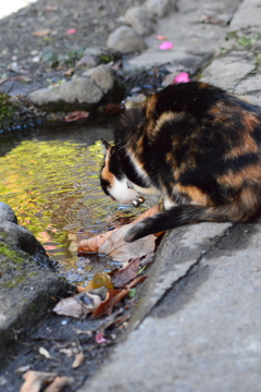 水分補給