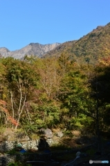 秋深まる山葵田
