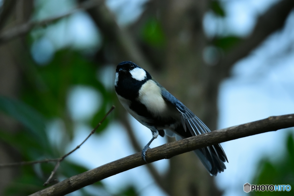 不思議なポーズ