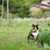 春の宵