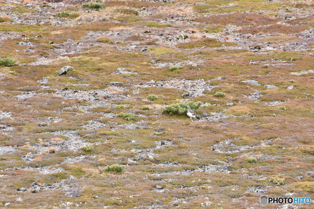 まる見えですよ〜