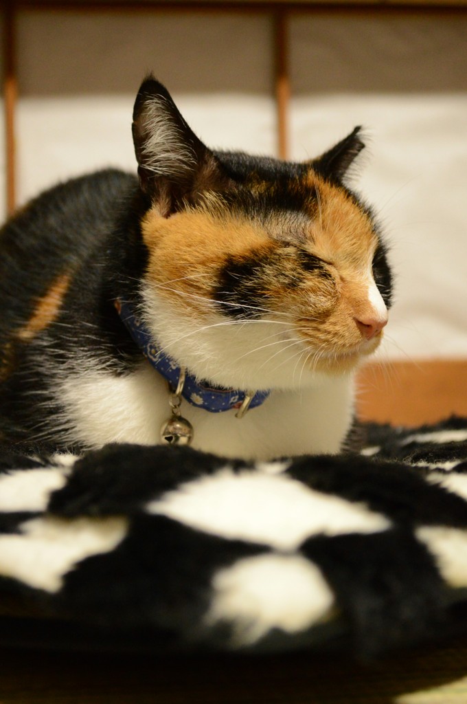 眠い～